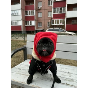 Бадян — стикер для MAX