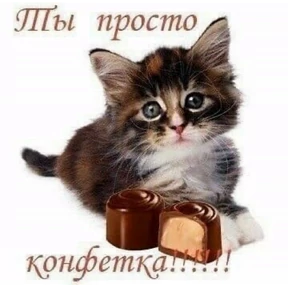 набор сашки прониной — стикер для MAX