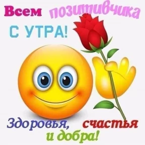 набор сашки прониной — стикер для MAX