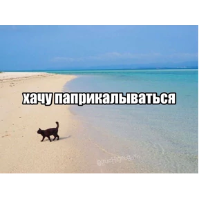 набор сашки прониной — стикер для MAX