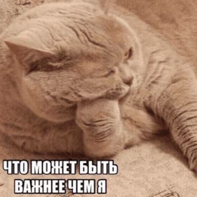Для Алины От Сумера — стикер для MAX