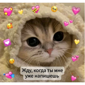 Для Алины От Сумера — стикер для MAX