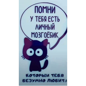 Для Алины От Сумера — стикер для MAX