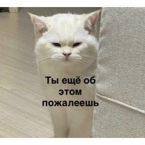 Для Алины От Сумера — стикер для MAX