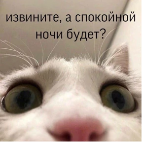 Для Алины От Сумера — стикер для MAX