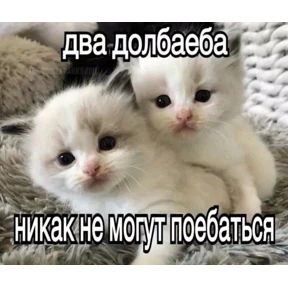 Для Алины От Сумера — стикер для MAX