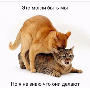 Для Алины От Сумера — стикер для MAX