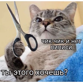 Для Алины От Сумера — стикер для MAX