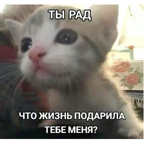 Для Алины От Сумера — стикер для MAX