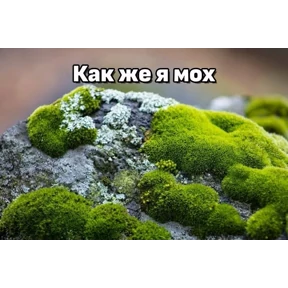 ОДС — стикер для MAX