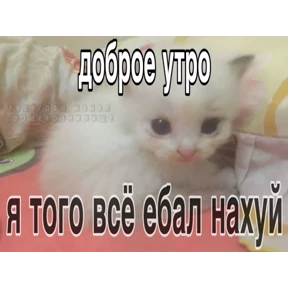 Ура — стикер для MAX