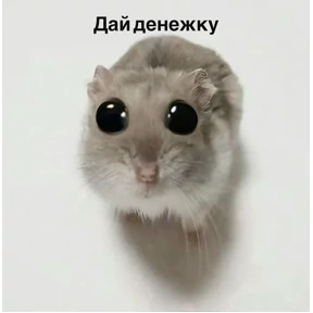 Ура — стикер для MAX