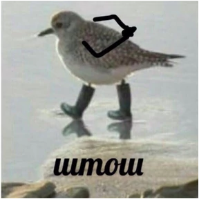 ОДС — стикер для MAX