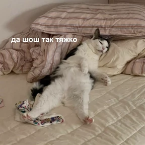 ОДС — стикер для MAX