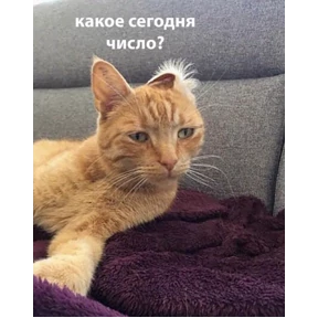 ОДС — стикер для MAX