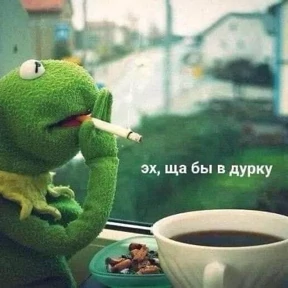 Mem — стикер для MAX