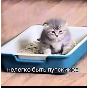 лалала — стикер для MAX