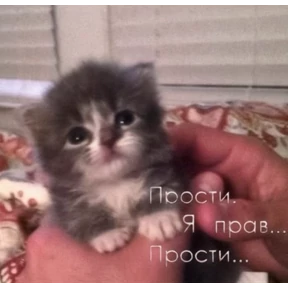 Нумы — стикер для MAX