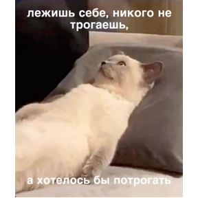Нумы — стикер для MAX
