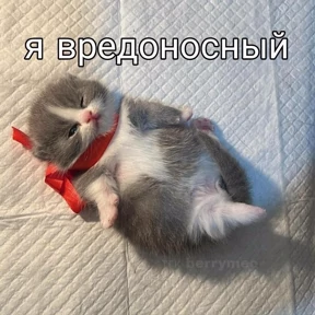 Нумы — стикер для MAX