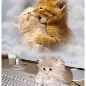 Нумы — стикер для MAX