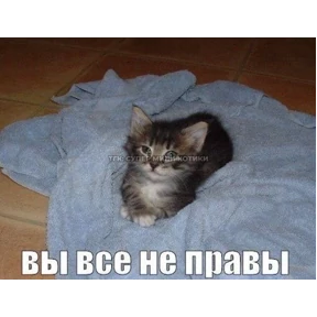 Нумы — стикер для MAX