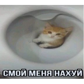 Нумы — стикер для MAX