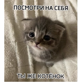 Нумы — стикер для MAX