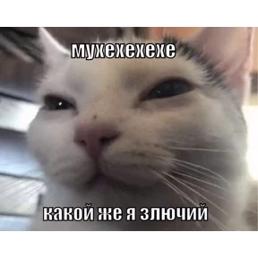 Нумы — стикер для MAX