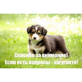 Нумы — стикер для MAX