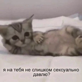 Нумы — стикер для MAX