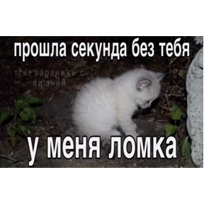 Нумы — стикер для MAX