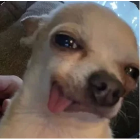 mood — стикер для MAX