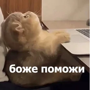 Стикерочки — стикер для MAX