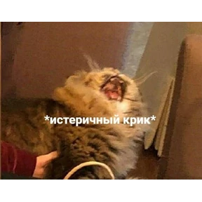 Стикерочки — стикер для MAX