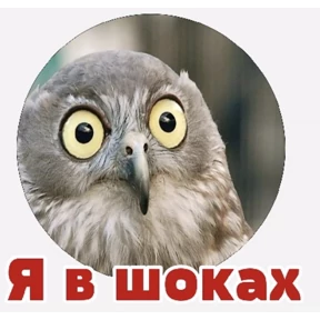 Мои стикеры 2 — стикер для MAX