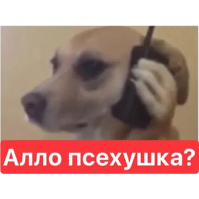 Наши стики — стикер для MAX