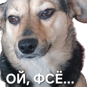 Наши стики — стикер для MAX