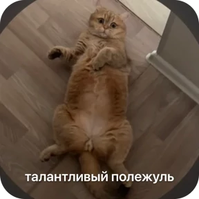 Булосьная полисия — стикер для MAX