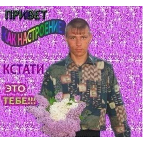 Mem — стикер для MAX