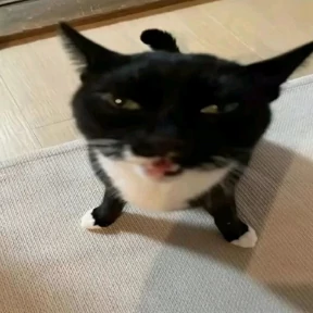 Да ну наху — стикер для MAX