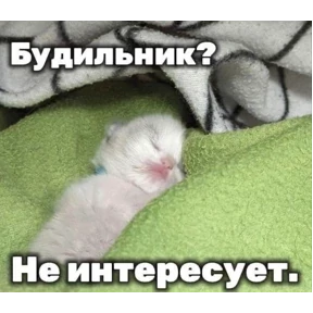 Лерочкины мемчики — стикер для MAX