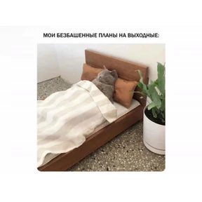 Лерочкины мемчики — стикер для MAX