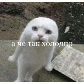 Лерочкины мемчики — стикер для MAX