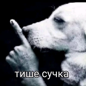 пупупу — стикер для MAX