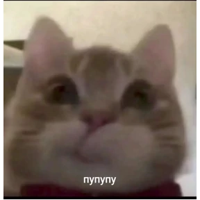 my2 — стикер для MAX