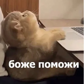 my2 — стикер для MAX