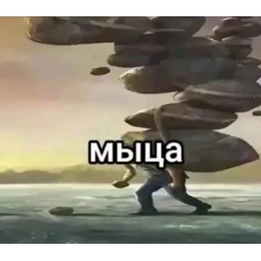 Меми — стикер для MAX