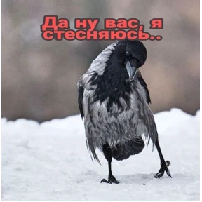 Приколы — стикер для MAX