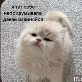 Приколы — стикер для MAX